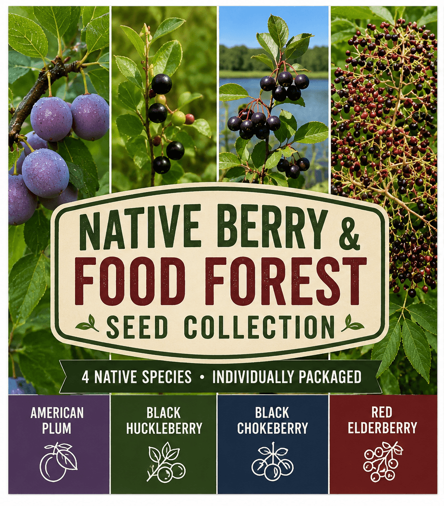 Native Berry & Food Forest Seed Collection