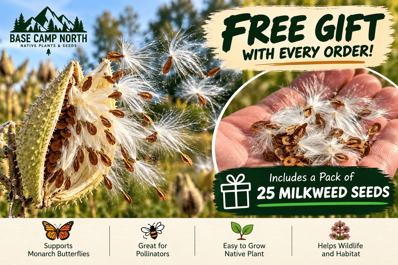 Free Common Milkweed Seeds with every Base Camp North order